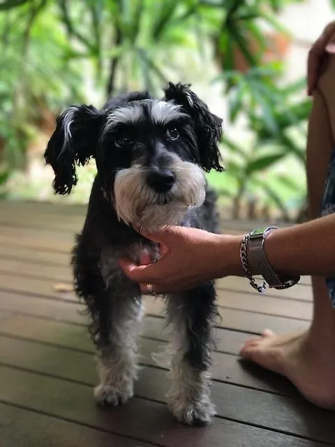 Guest house Lilly'S Pad Guesthouse Eumundi